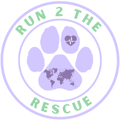 Run 2 The Rescue